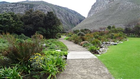 Harold Porter Botanical Garden Güzel Biyoçeşitlilik İçin Bir Cennettir!