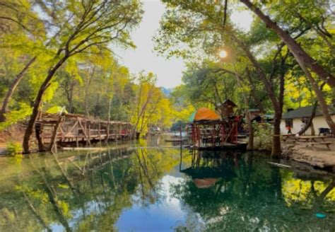  Parque Ibirapuera: Şehrin Kalbindeki Yeşil Bir Cennet!